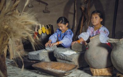 Conservation des schèmes ancestraux chez l’humain