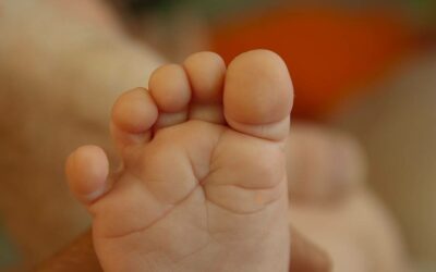 Le stade oral cannibalique chez l’enfant