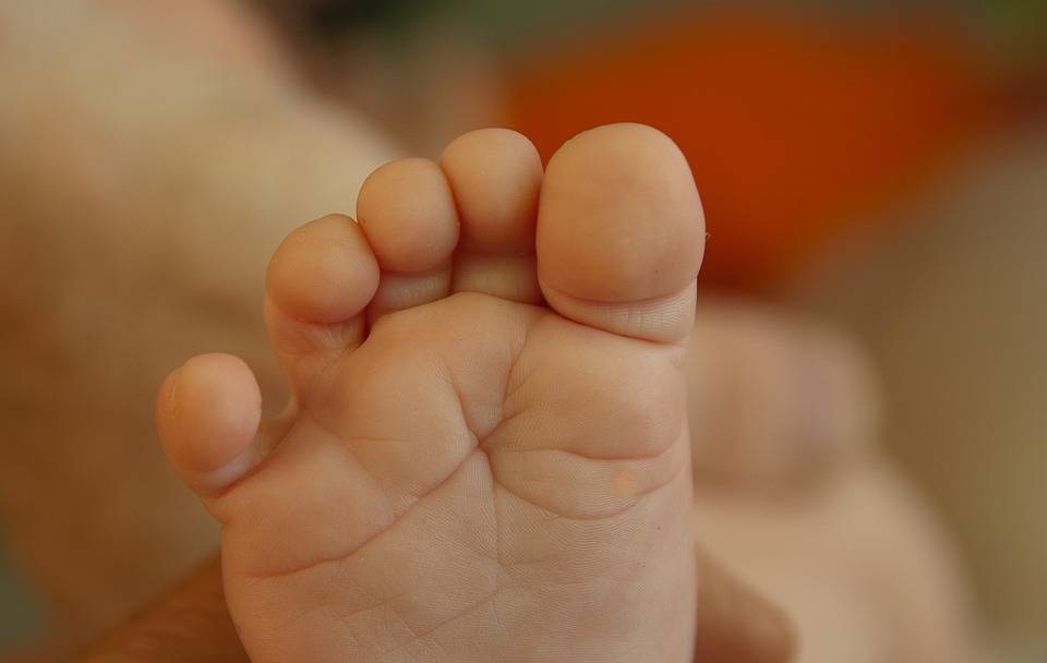 Le stade oral cannibalique chez l’enfant