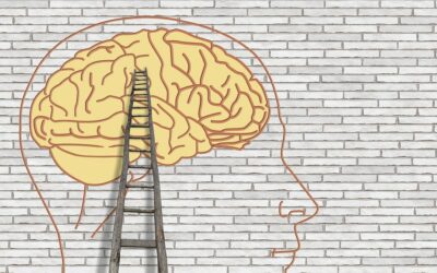 La structure intrapsychique en PAE