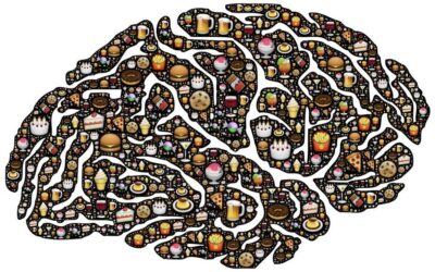 Le modèle du conditionnement par Skinner et Pavlov