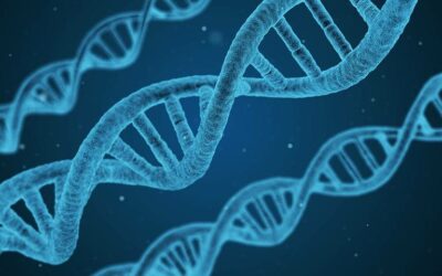 L’universalité de la molécule d’ADN