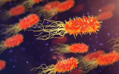 Optimiser les quantités de bactéries intestinale pour soigner son mental