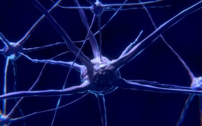 La neurogénétique : hic et nunc d’après les analystes kleiniens