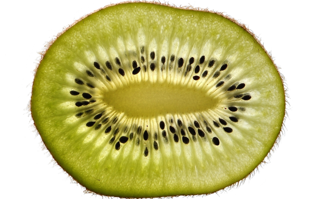 La TCC au service des allergies