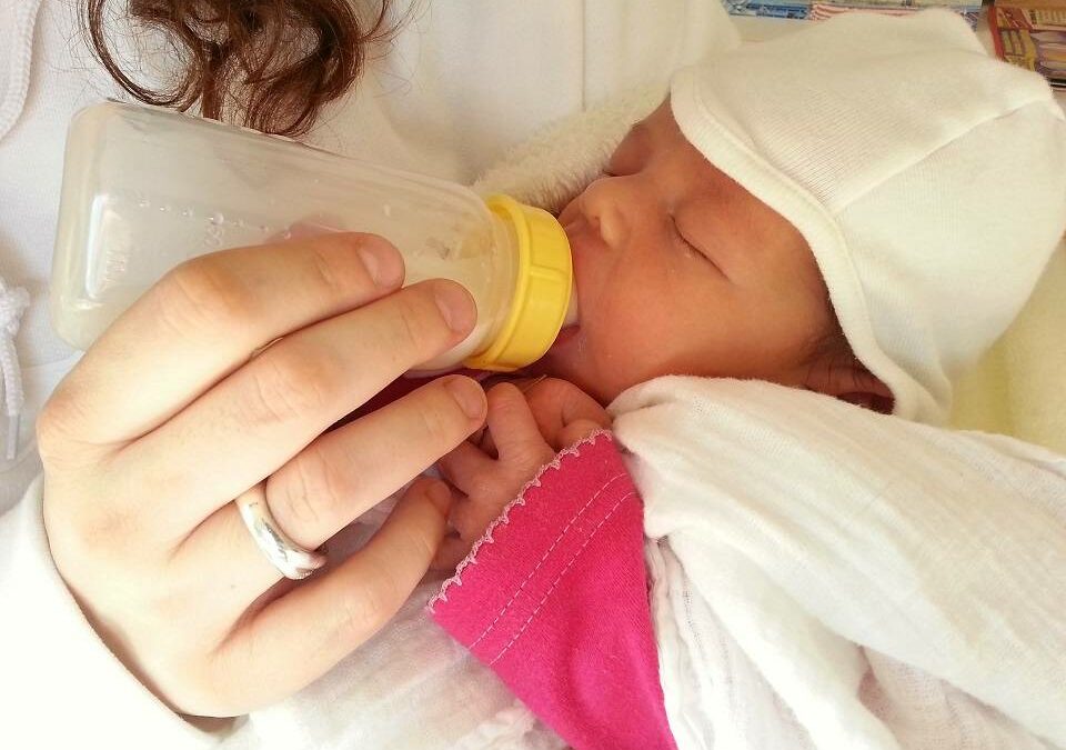 Le comportement alimentaire : le stade oral