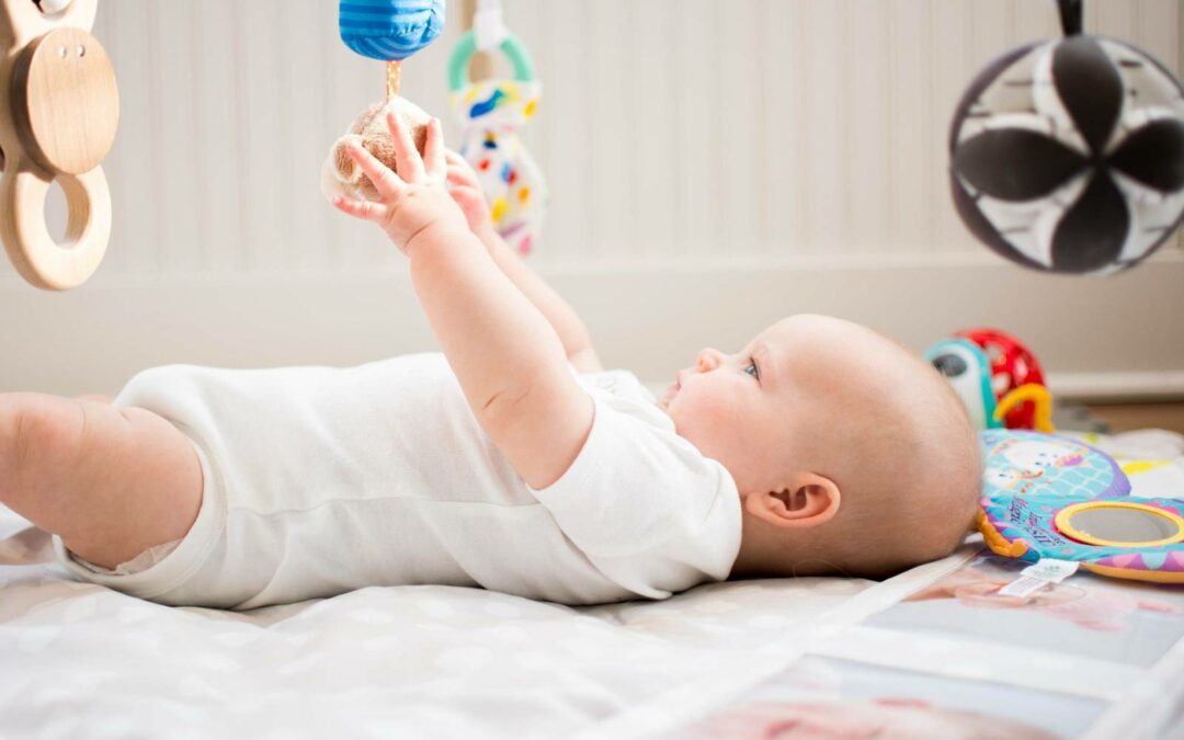 Le développement libidinal de l&rsquo;image du corps : le schéma instinctif